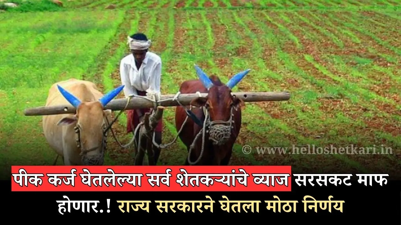 Loan Waiver Yojana: पीक कर्ज घेतलेल्या सर्व शेतकऱ्यांचे व्याज सरसकट माफ होणार.! राज्य सरकारने घेतला मोठा निर्णय