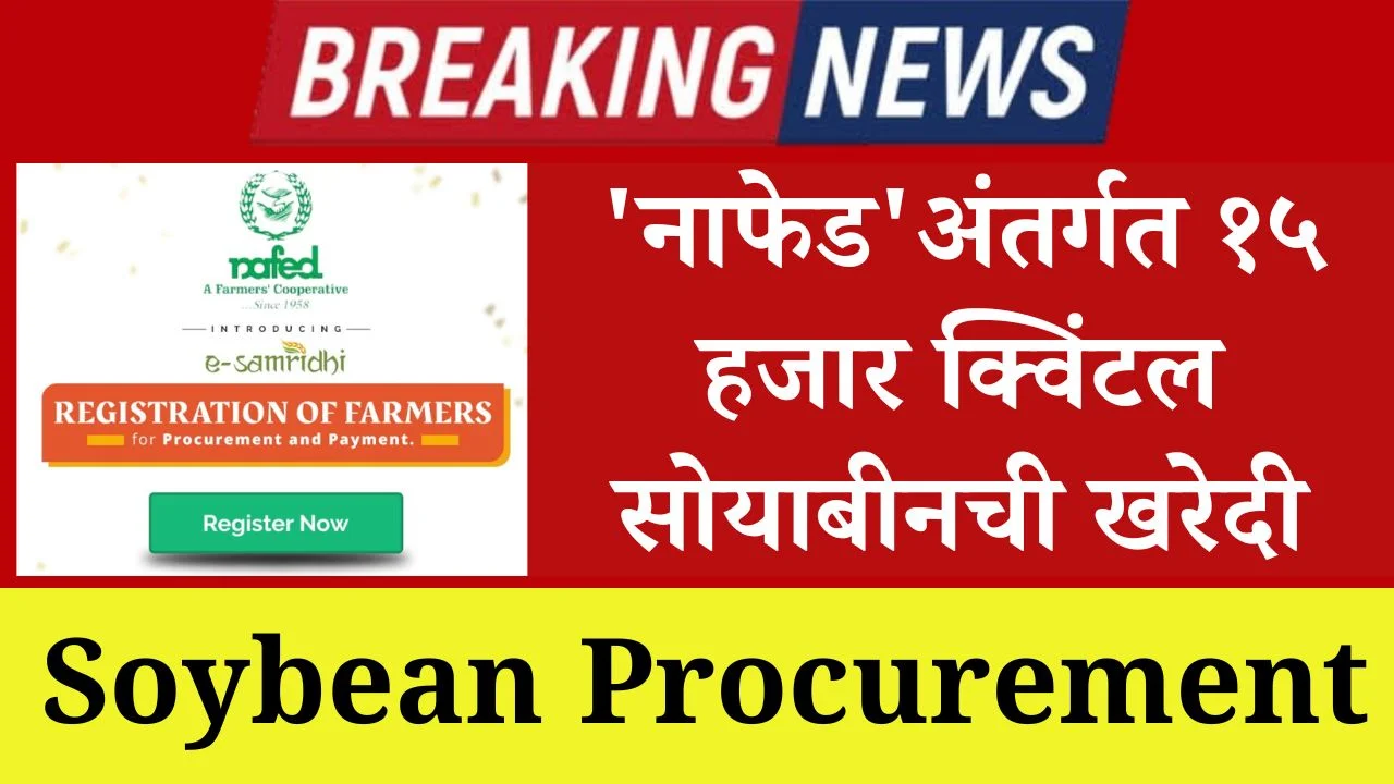 Soybean Procurement : ‘नाफेड’अंतर्गत १५ हजार क्विंटल सोयाबीनची खरेदी