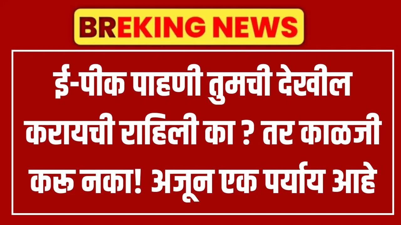 E-Pik Pahani Online: ई-पीक पाहणी तुमची देखील करायची राहिली का? तर काळजी करू नका! अजून एक पर्याय आहे