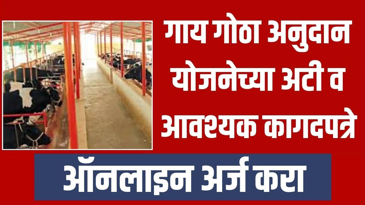 Gay Gotha yojana: गाय गोठा अनुदान योजनेच्या अटी व आवश्यक कागदपत्रे, ऑनलाइन अर्ज करा