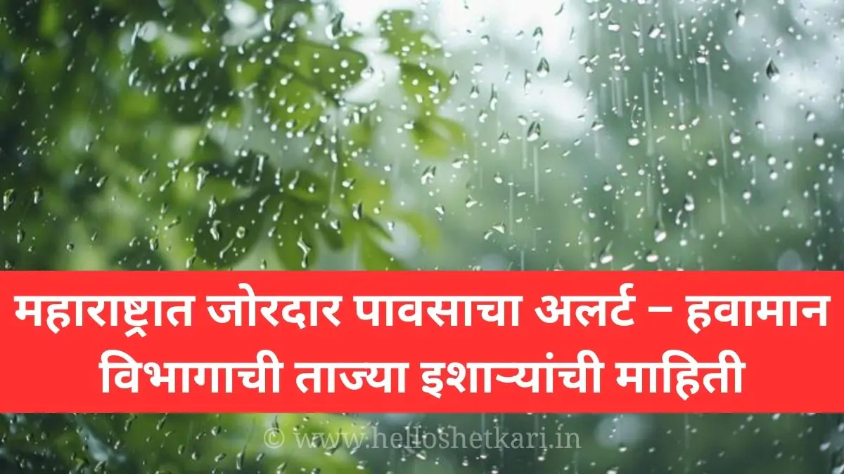 Maharashtra Rain Alert