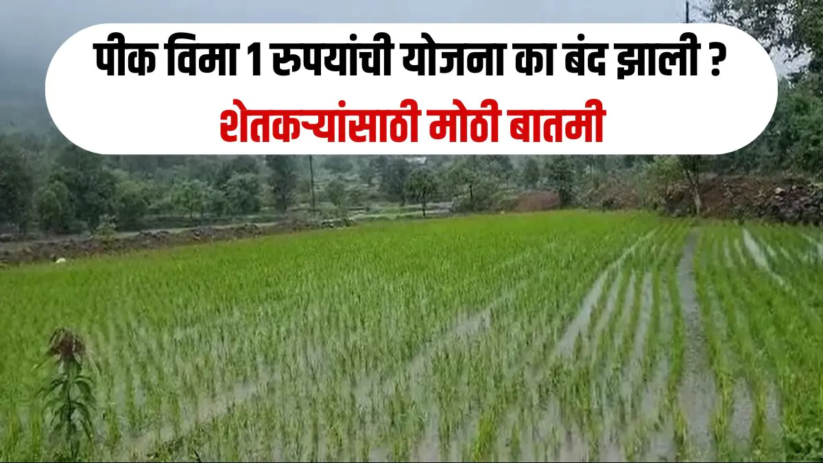 pik vima yojana maharashtra